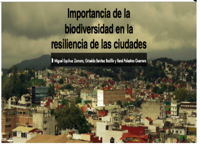 Importancia de la biodiversidad en la resiliencia de las ciudades